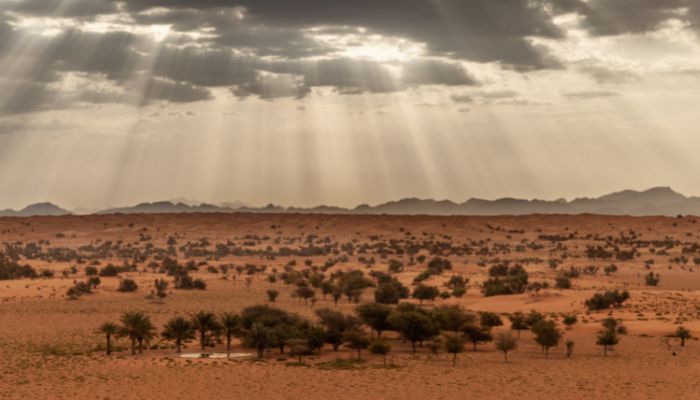 صحراهای دبی